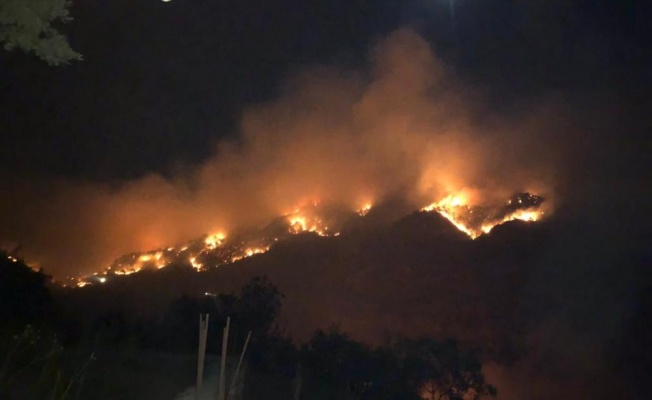 Gazipaşa'da 3 farklı noktada orman yangını