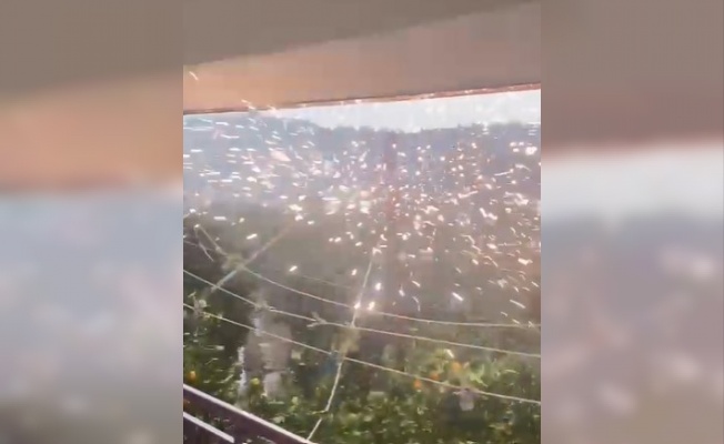 Kemer’de rüzgardan aşınan elektrik telleri patladı