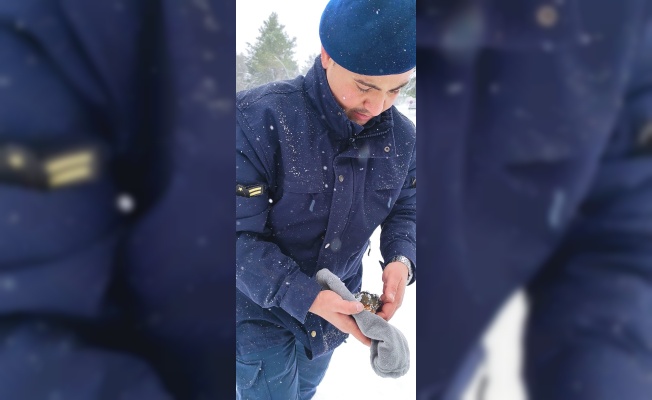 Jandarma, soğuktan donmak üzere olan kuşu kendi kıyafetiyle ısıttı